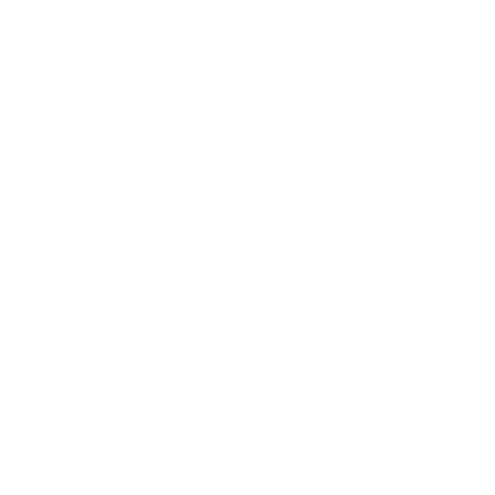 bbq-grill-logo-max-trend